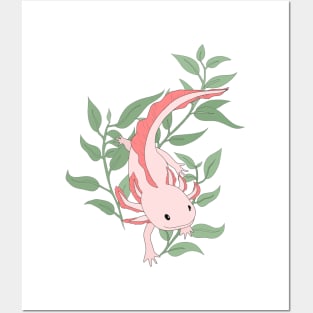 axolotl Posters and Art